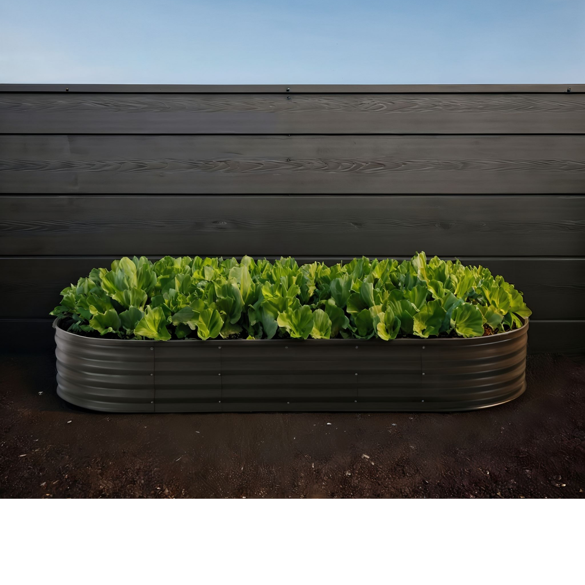 Black Galvanized Steel Raised Garden Bed – 7' x 3' x 1' – Oval Planter
